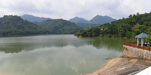 你知道吗 云浮已建成19个湿地公园
