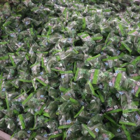 新兴县荔园食品