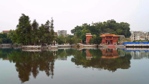 红色云浮 现场讲述⑤ 探访云浮市烈士陵园